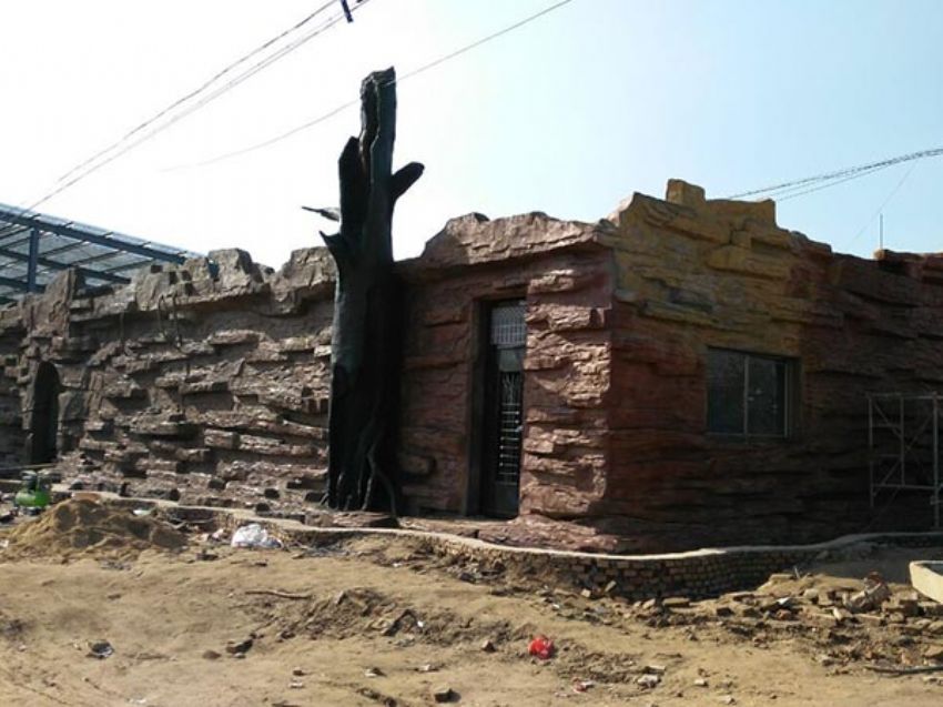 點(diǎn)擊查看詳細(xì)信息<br>標(biāo)題：假房子 閱讀次數(shù)：1395