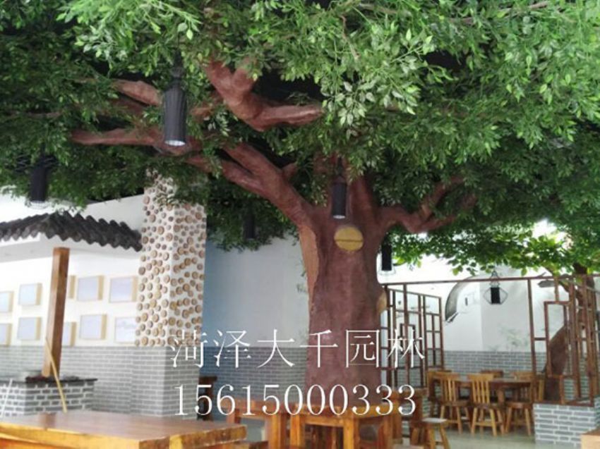 點(diǎn)擊查看詳細(xì)信息<br>標(biāo)題：假樹 閱讀次數(shù)：1461