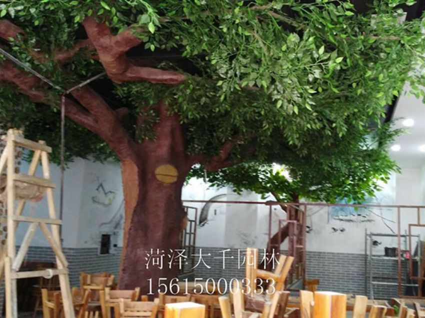 點(diǎn)擊查看詳細(xì)信息<br>標(biāo)題：假樹 閱讀次數(shù)：1571