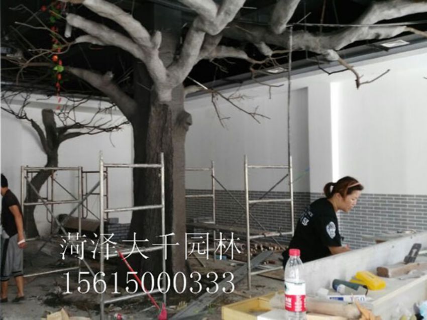 點擊查看詳細信息<br>標(biāo)題：假樹 閱讀次數(shù)：1457