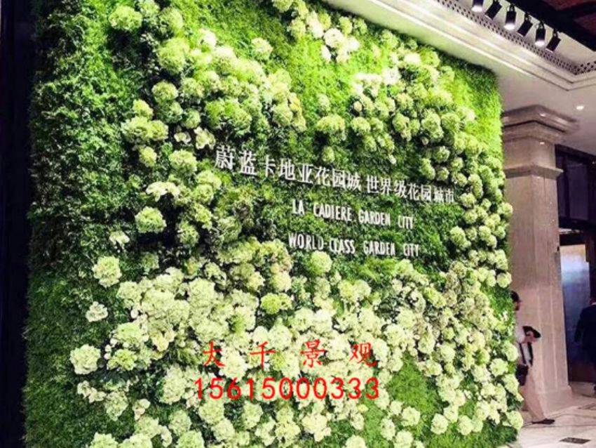 點(diǎn)擊查看詳細(xì)信息<br>標(biāo)題：綠植墻 閱讀次數(shù)：2173