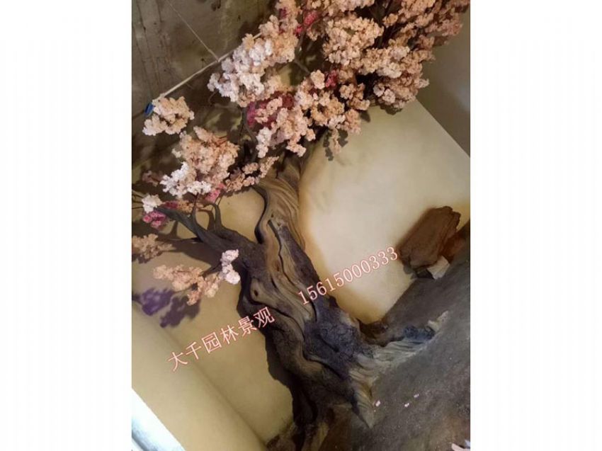 點(diǎn)擊查看詳細(xì)信息<br>標(biāo)題：假樹(shù) 閱讀次數(shù)：2505